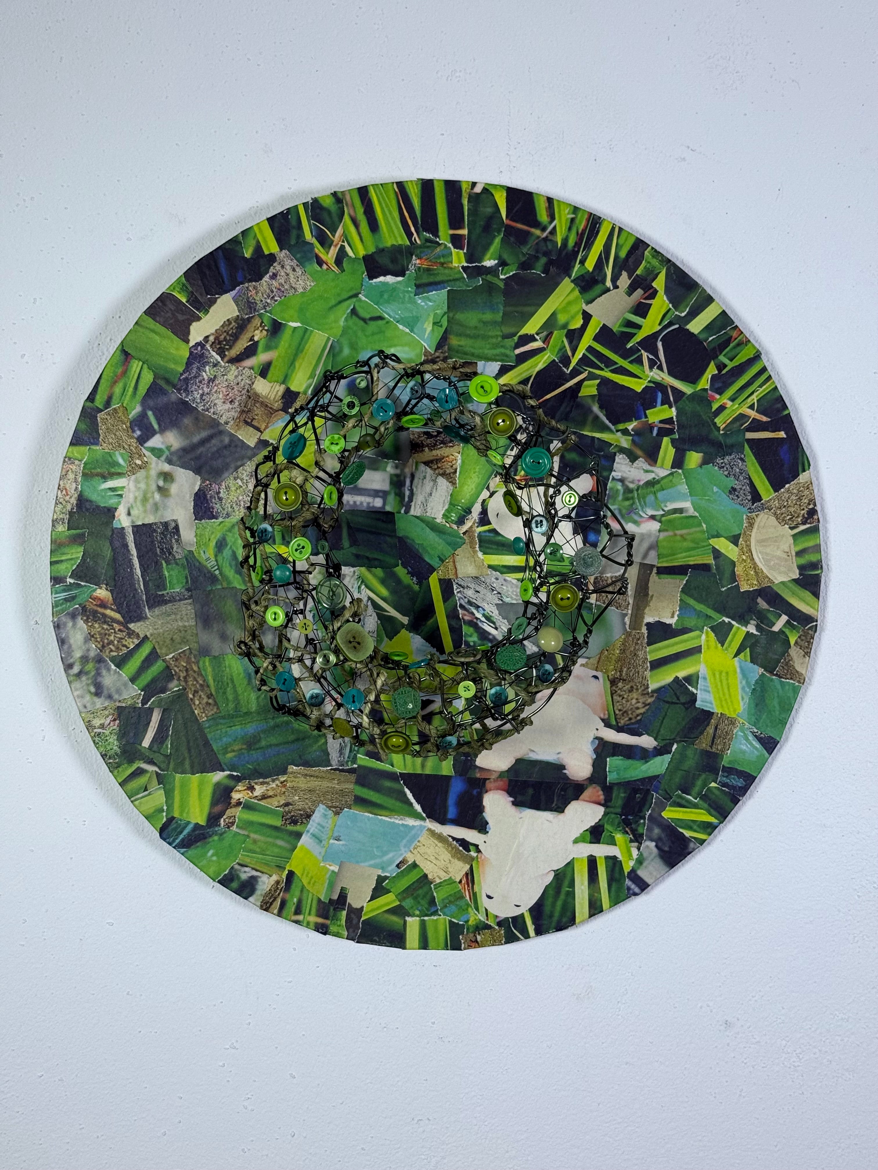Jungleloop