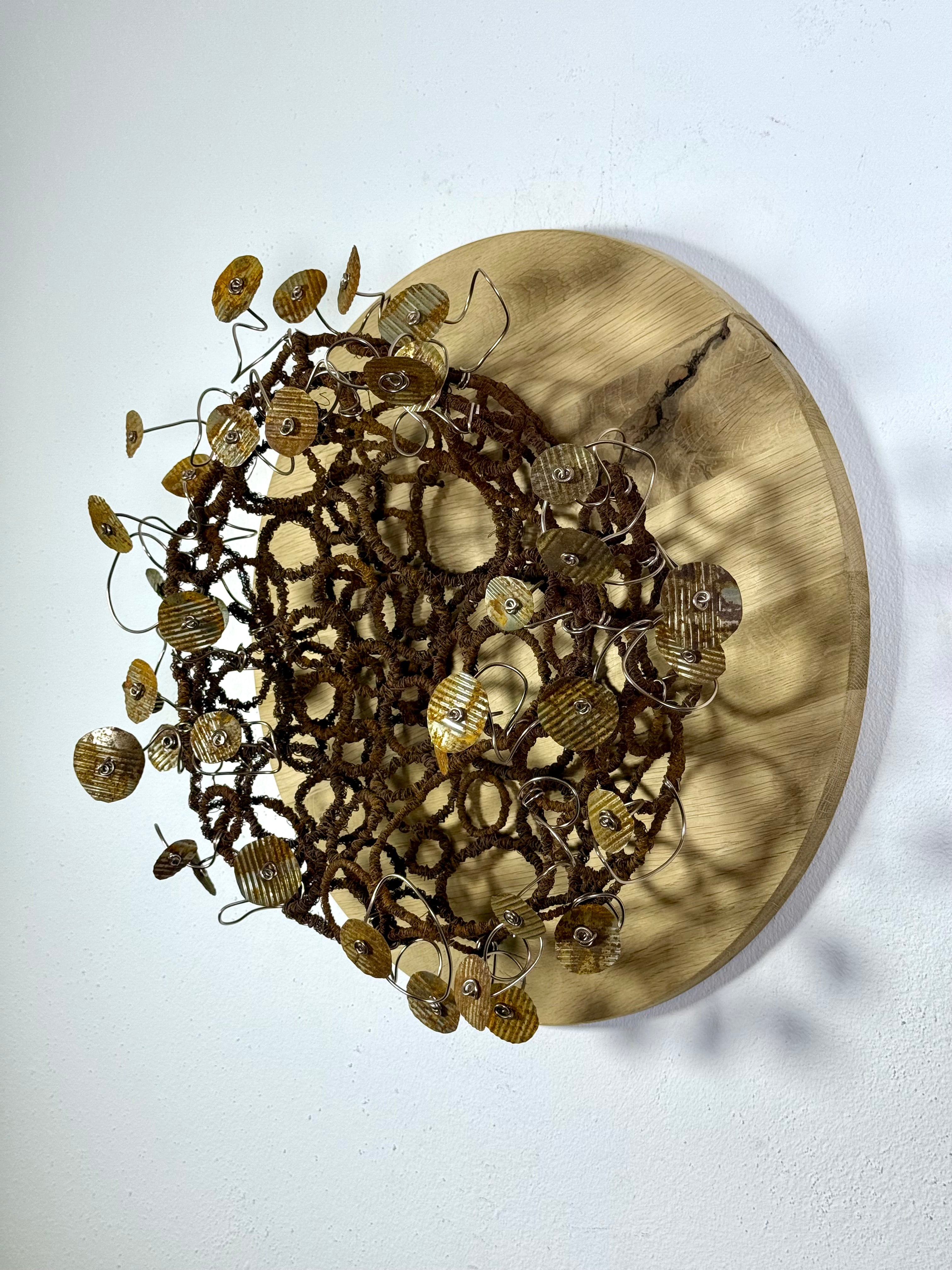 Rost Nest